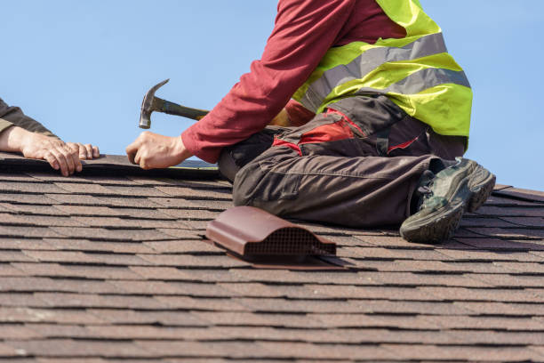 Best Roof Leak Repair  in New Bern, NC